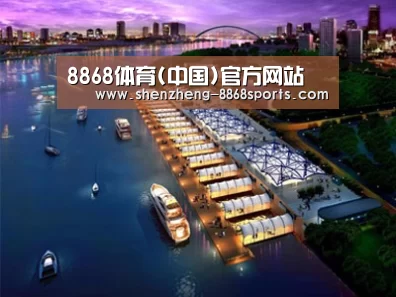 案例展示八